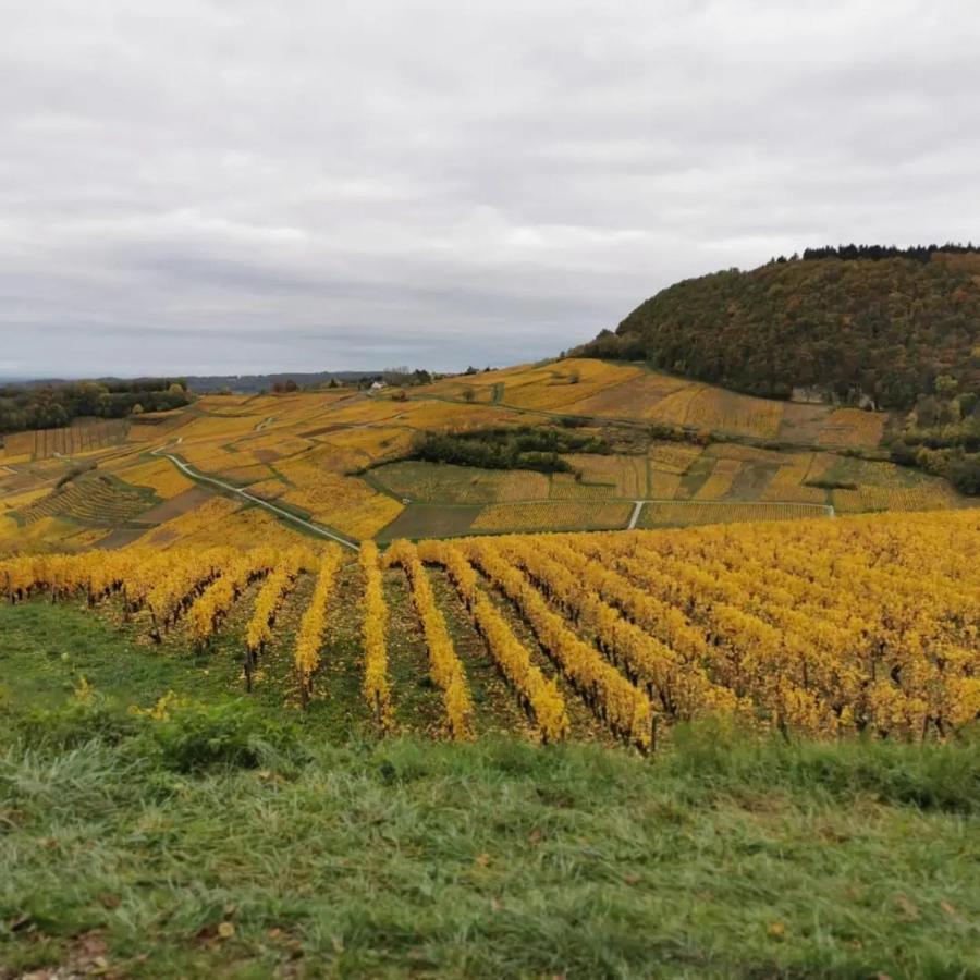 Ferienhaus Les Carriaux Le Fied