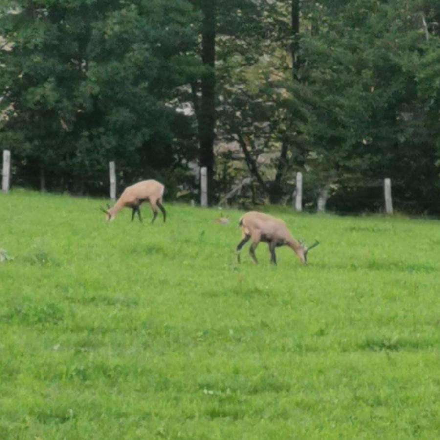 Ferienhaus Les Carriaux *